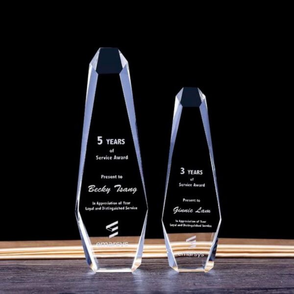Surface Engraved Award