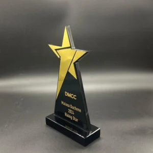 Customized star crystal trophy