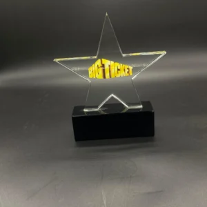 Customized 2D star cut-out crystal trophy
