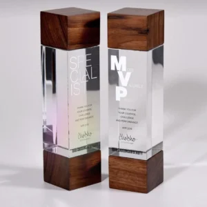 Customized Wooden trophy B