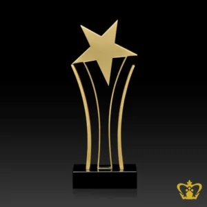 Uniquely crafted Metal and crysal trophy