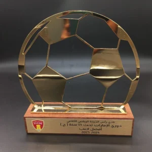 Uniquely crafted footbal  Metal and wooden trophy - A